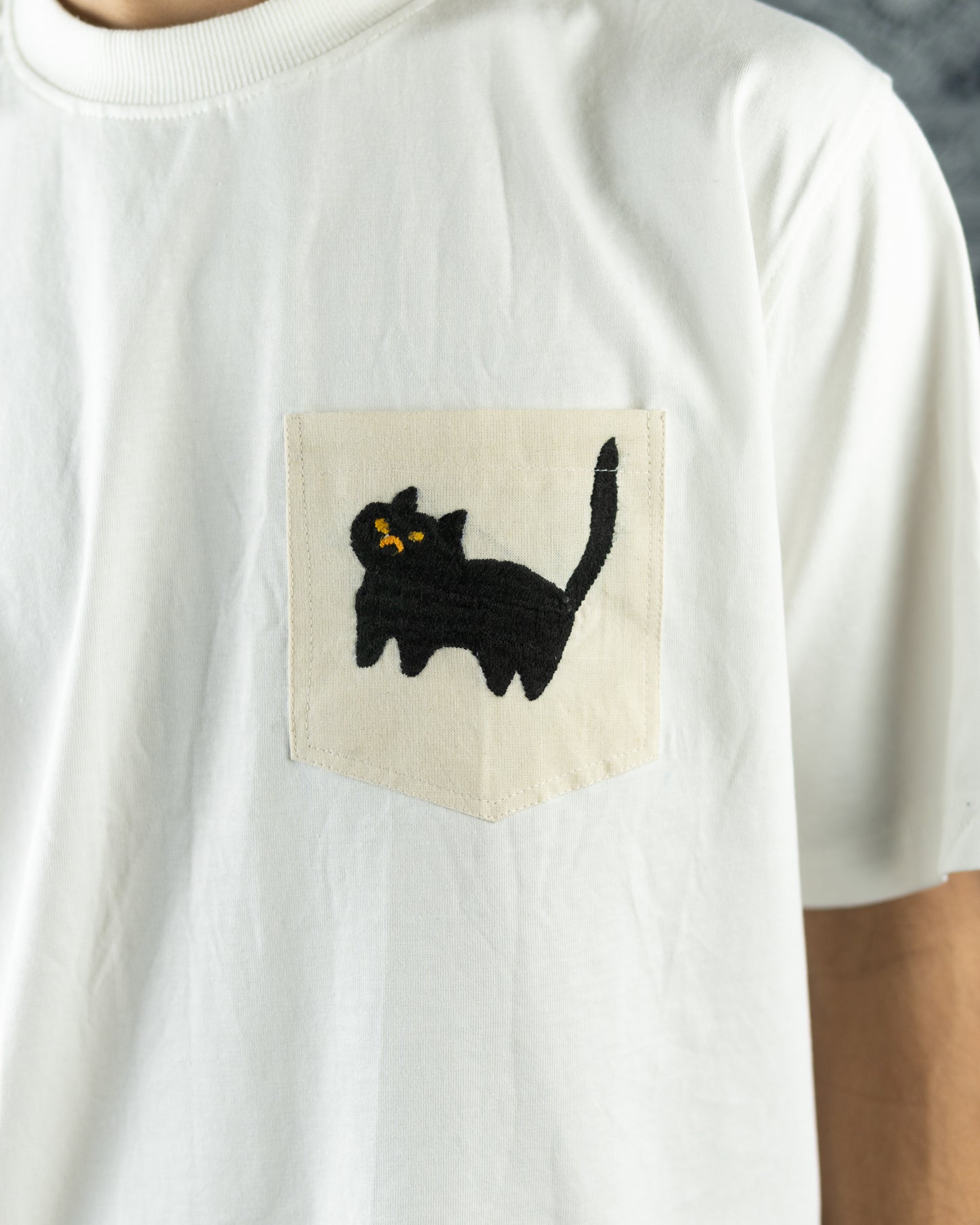 Angry cat