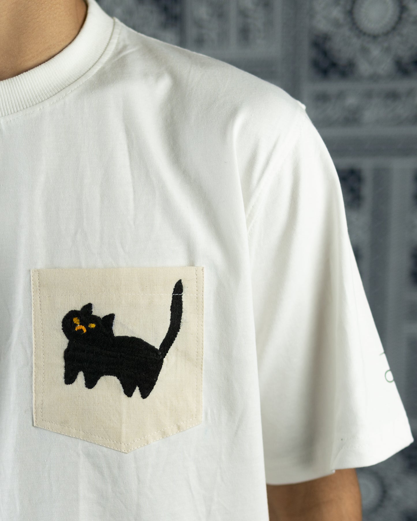 Angry cat
