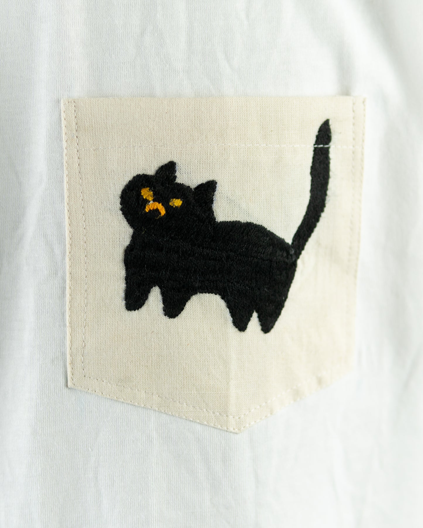Angry cat